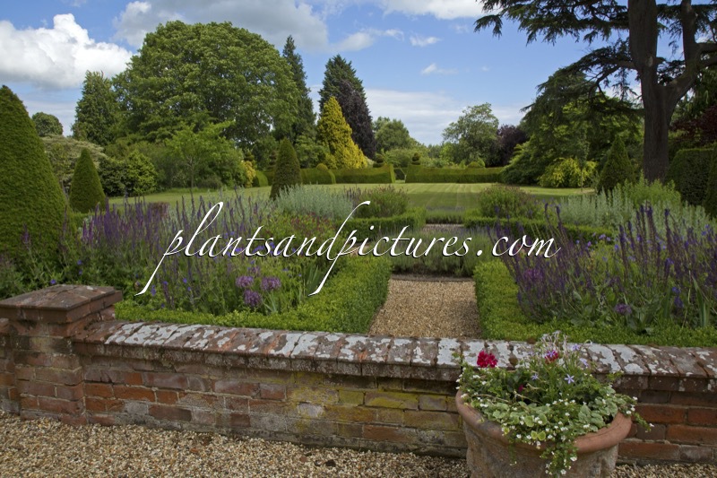 The Place for Plants