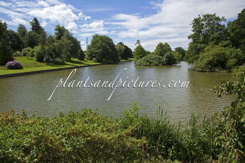Marks Hall Arboretum