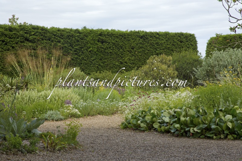 Beth Chatto Gardens