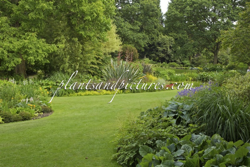 Beth Chatto Gardens