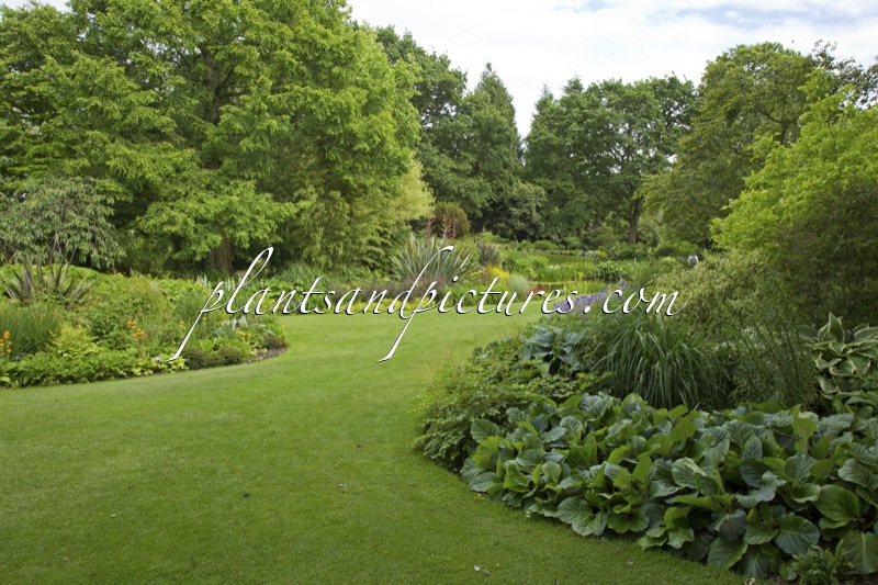 Beth Chatto Gardens