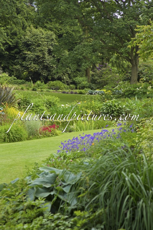 Beth Chatto Gardens