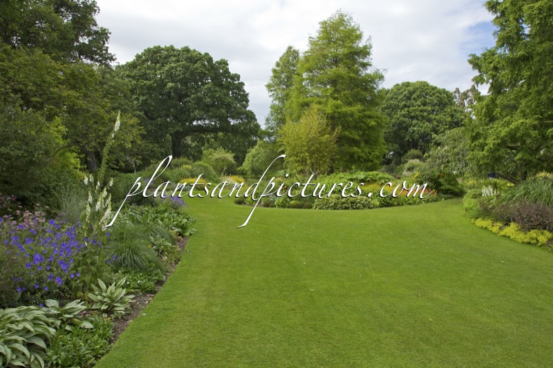 Beth Chatto Gardens