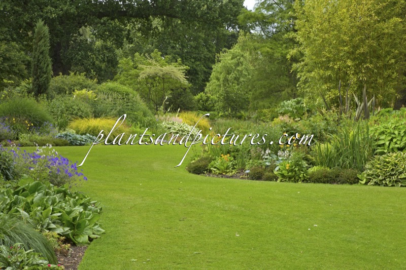 Beth Chatto Gardens