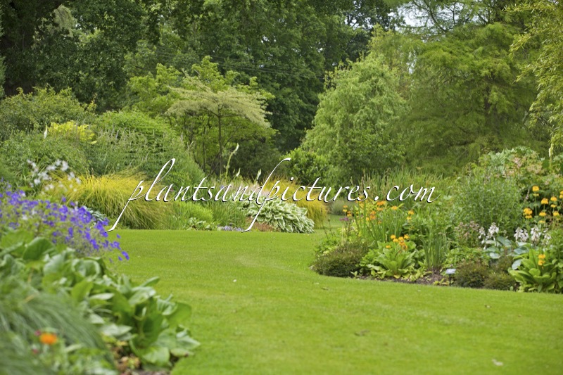 Beth Chatto Gardens