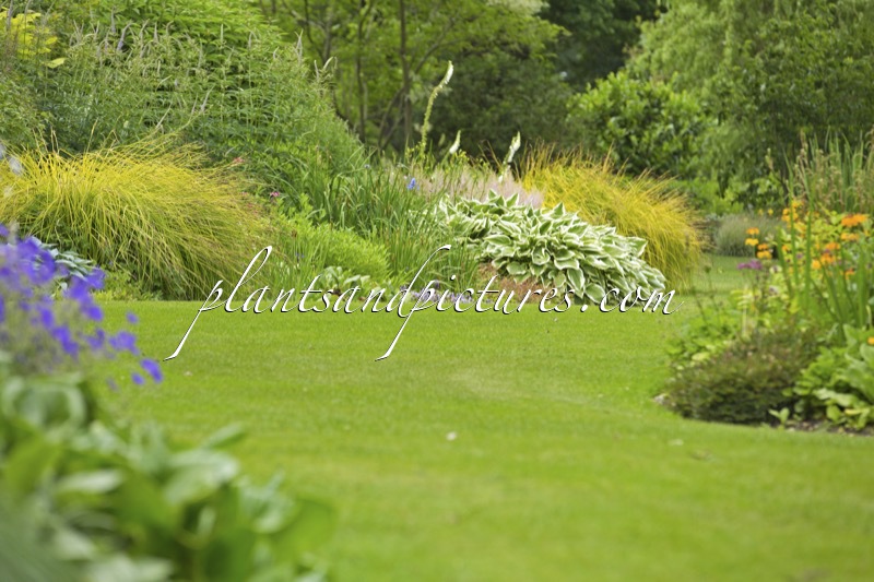 Beth Chatto Gardens