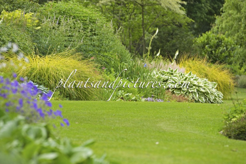 Beth Chatto Gardens