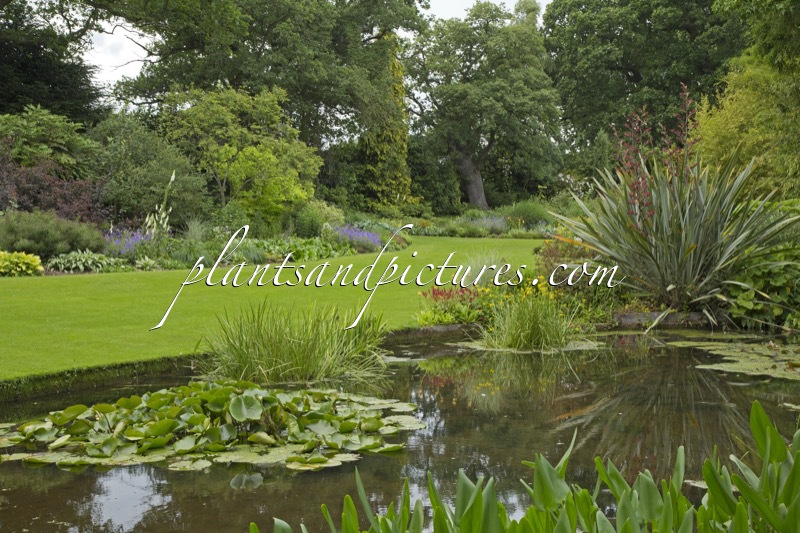 Beth Chatto Gardens