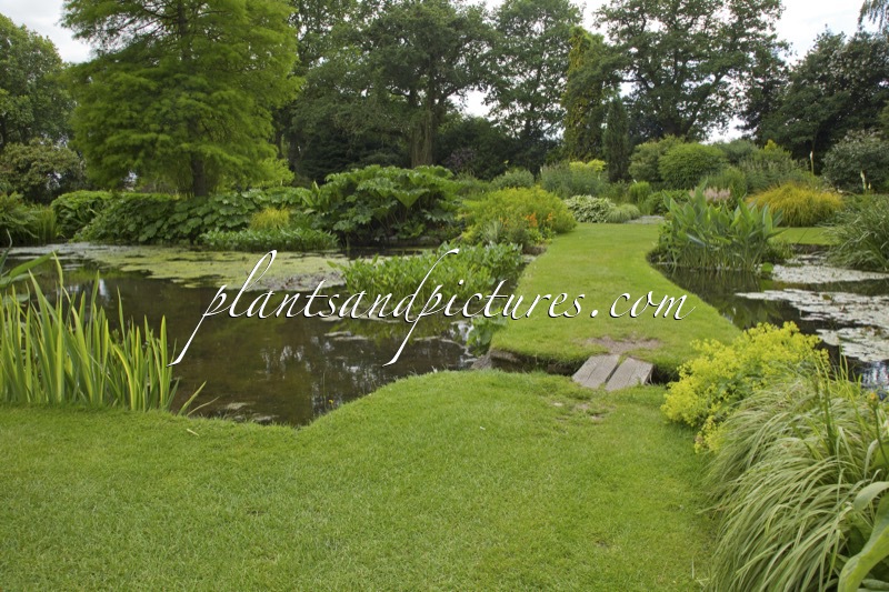 Beth Chatto Gardens