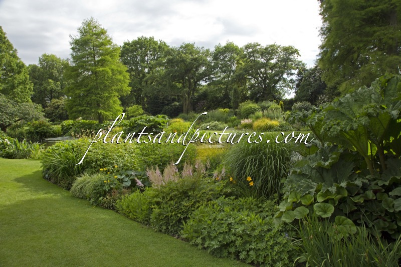 Beth Chatto Gardens
