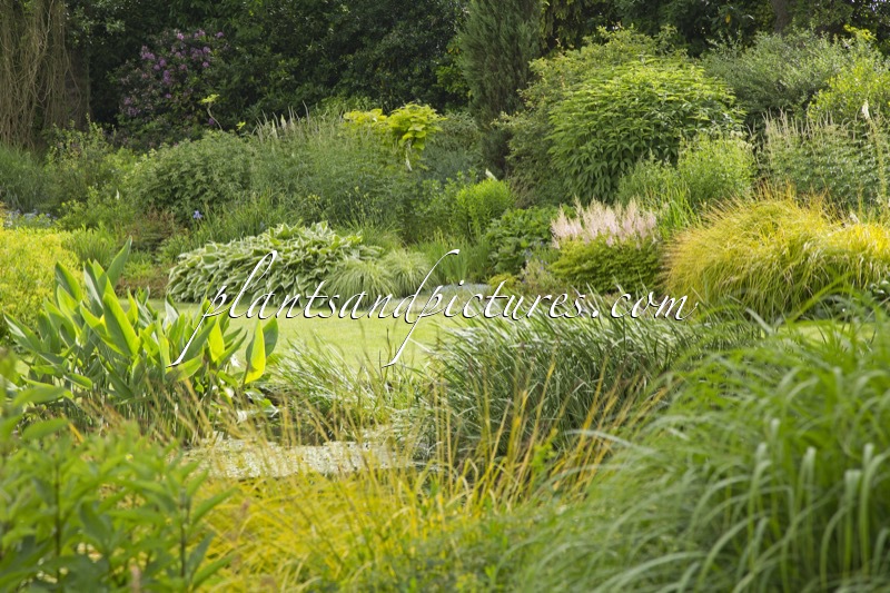 Beth Chatto Gardens