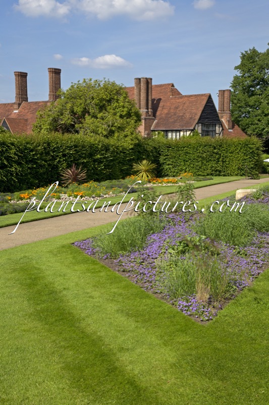 RHS Wisley Garden