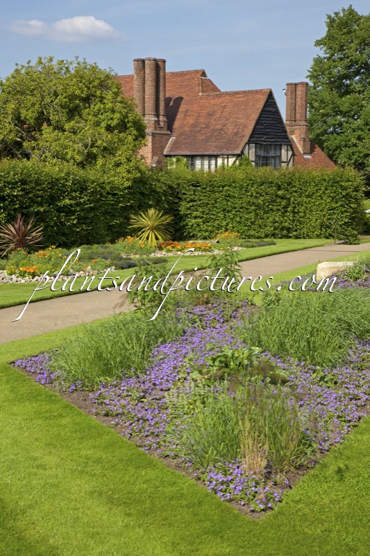 RHS Wisley Garden