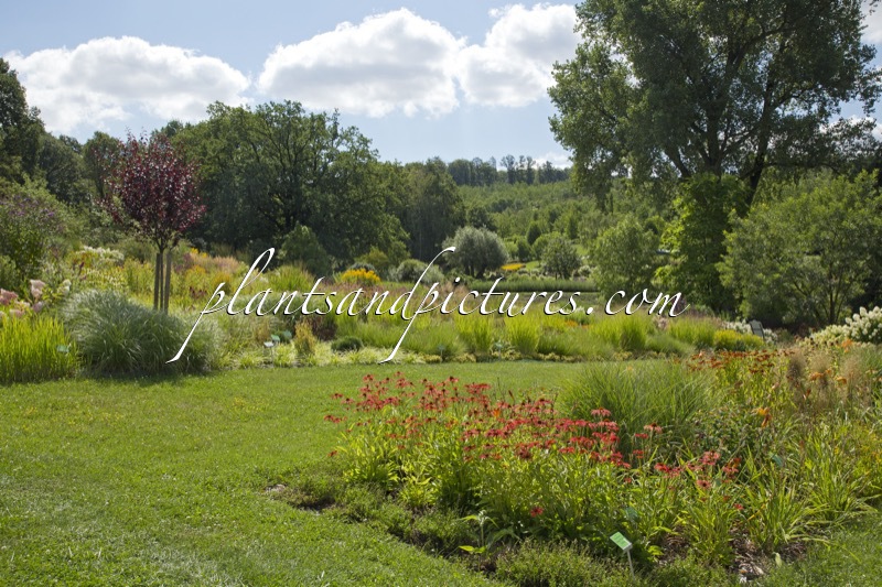 Arboretum Wojslawice