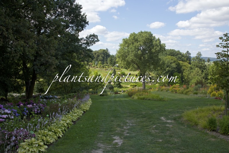 Arboretum Wojslawice