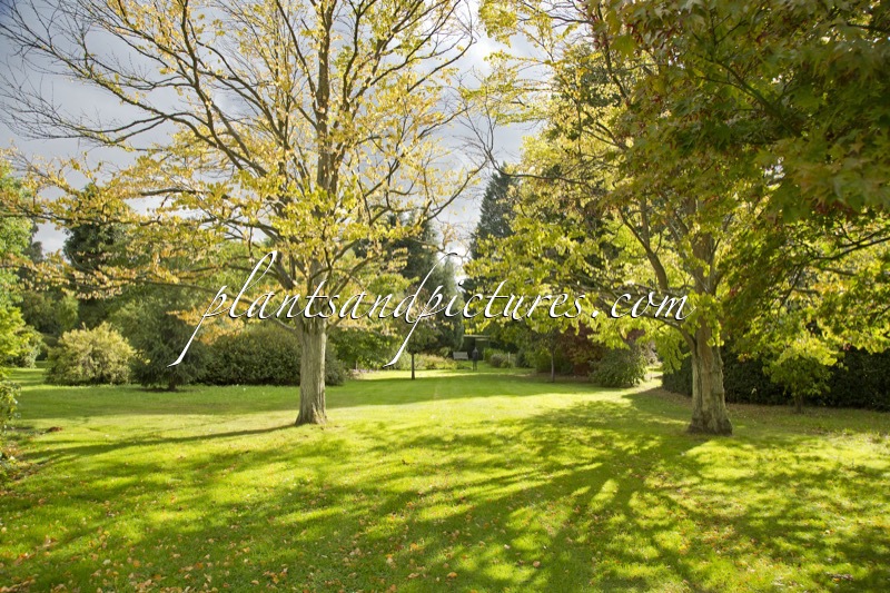 The Place For Plants