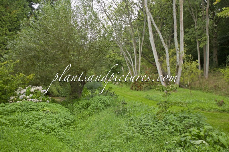 The Place For Plants