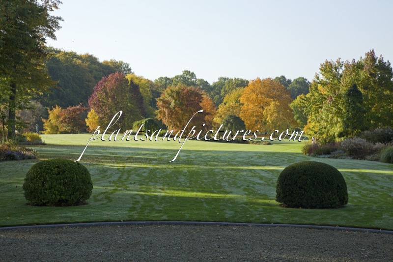Arboretum Wespelaar