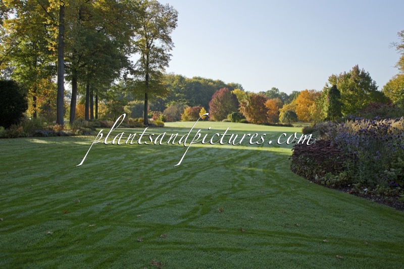 Arboretum Wespelaar