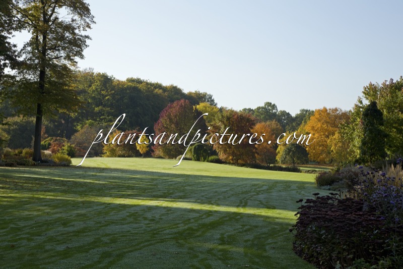 Arboretum Wespelaar