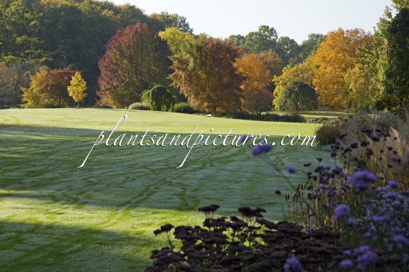 Arboretum Wespelaar