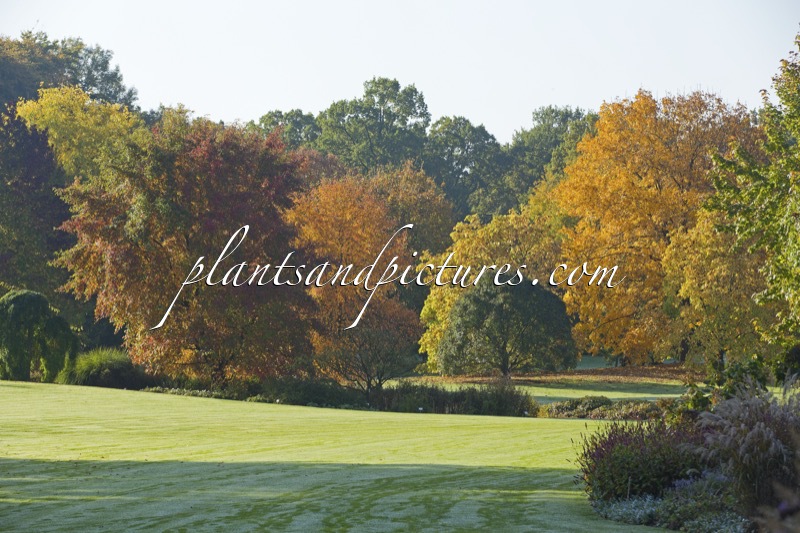 Arboretum Wespelaar