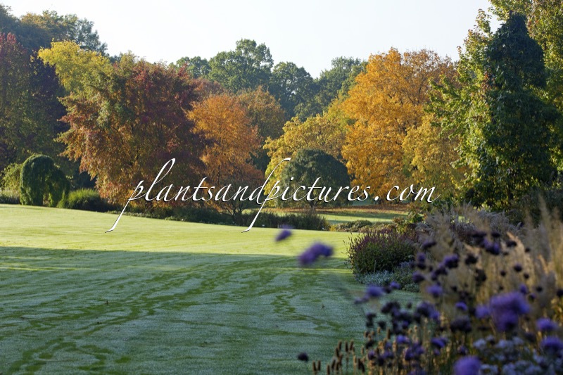 Arboretum Wespelaar