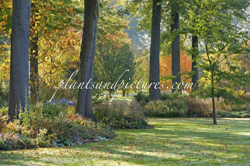 Arboretum Wespelaar