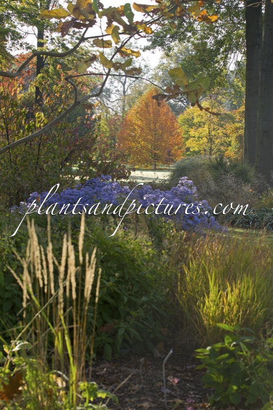 Arboretum Wespelaar