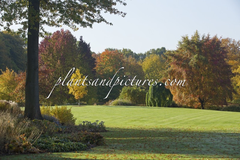 Arboretum Wespelaar