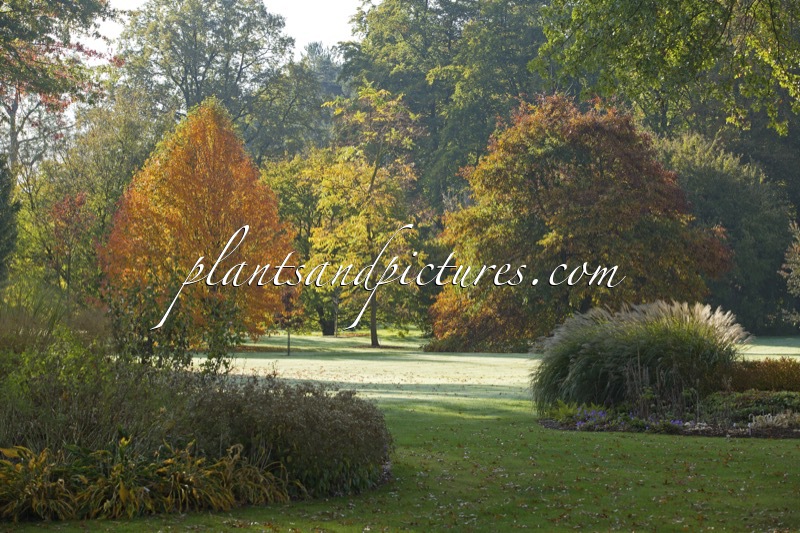 Arboretum Wespelaar
