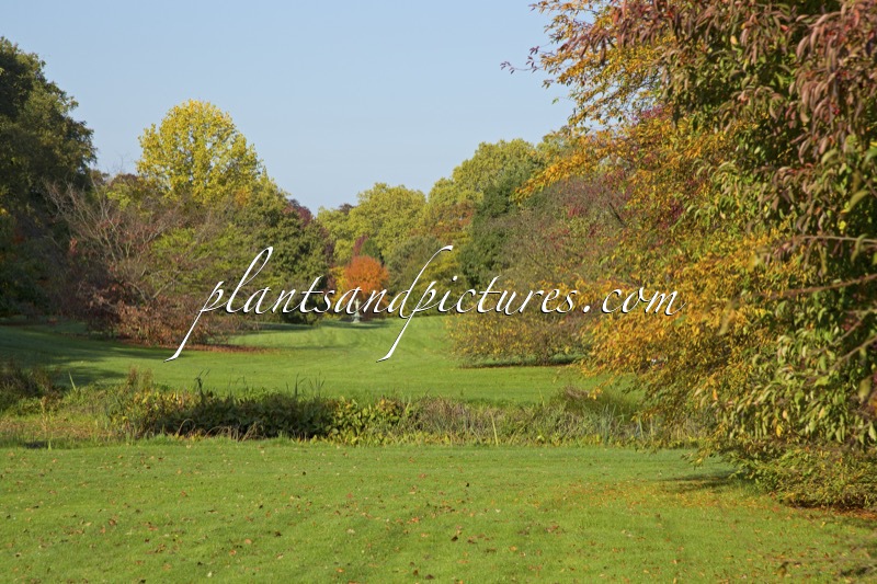 Arboretum Wespelaar