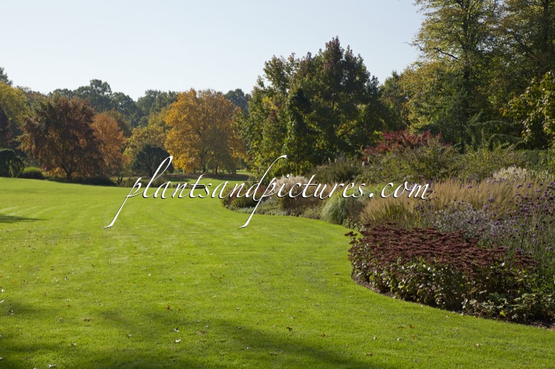 Arboretum Wespelaar