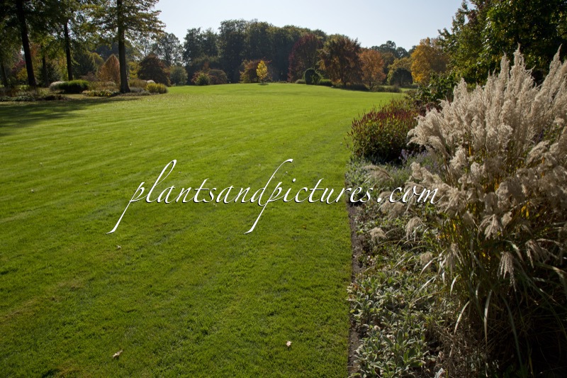 Arboretum Wespelaar