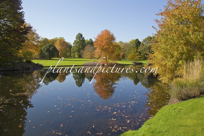 Arboretum Wespelaar