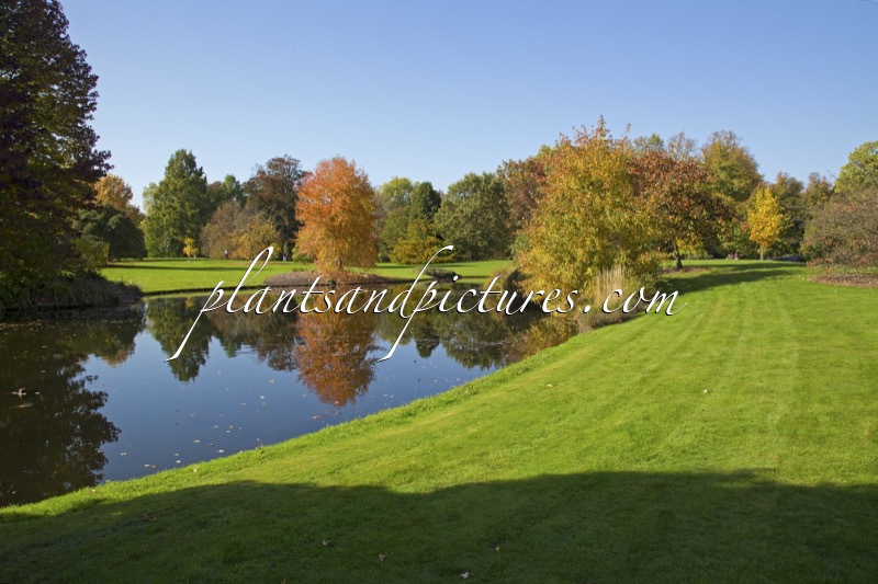 Arboretum Wespelaar