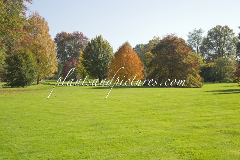 Arboretum Wespelaar