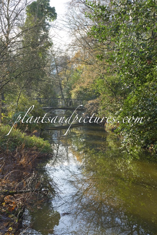 Trompenburg Tuinen & Arboretum
