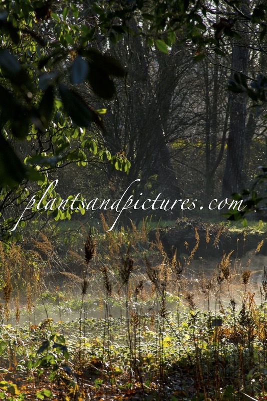 Trompenburg Tuinen & Arboretum