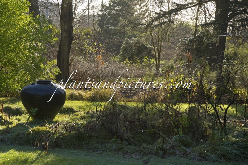Trompenburg Tuinen & Arboretum