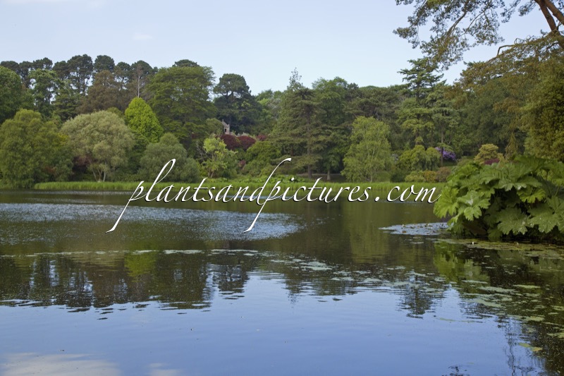Mount Stewart