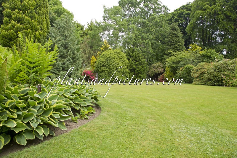 Tuin Sam Harrison Castlewellan