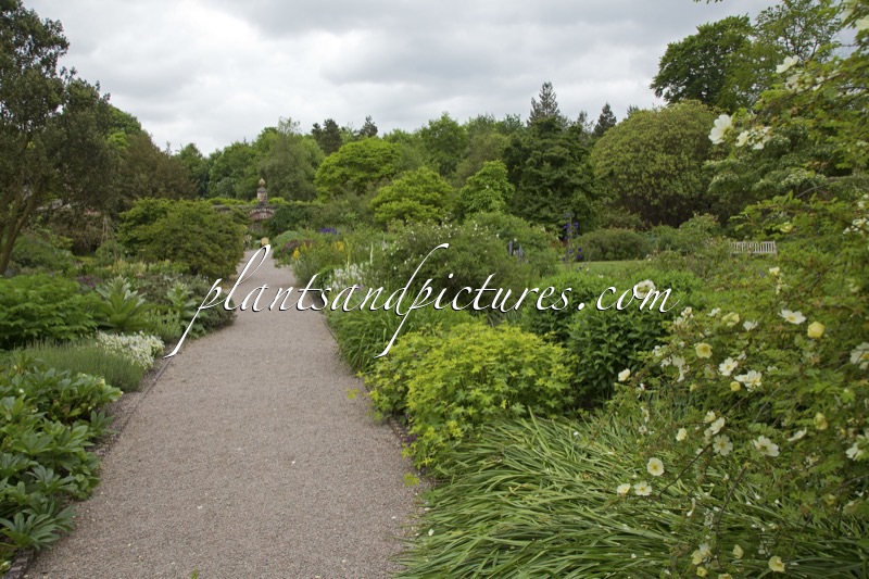 Rowallane Garden