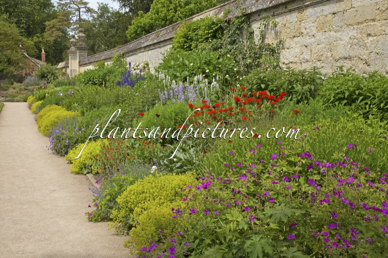 Oxford Botanic Garden