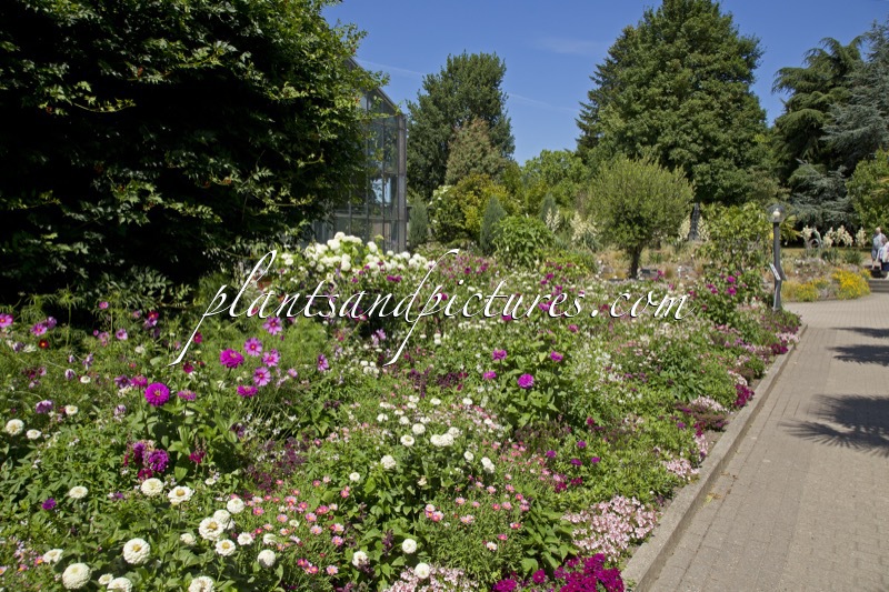 Botanischer Garten Kiel