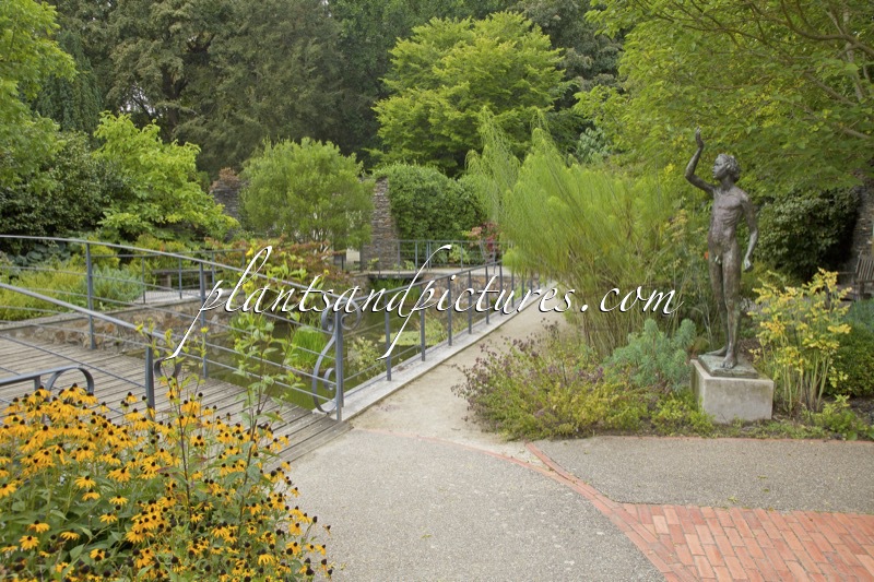 Arboretum Gaston Allard