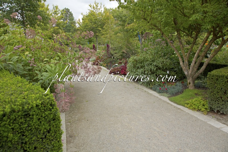 Arboretum Gaston Allard