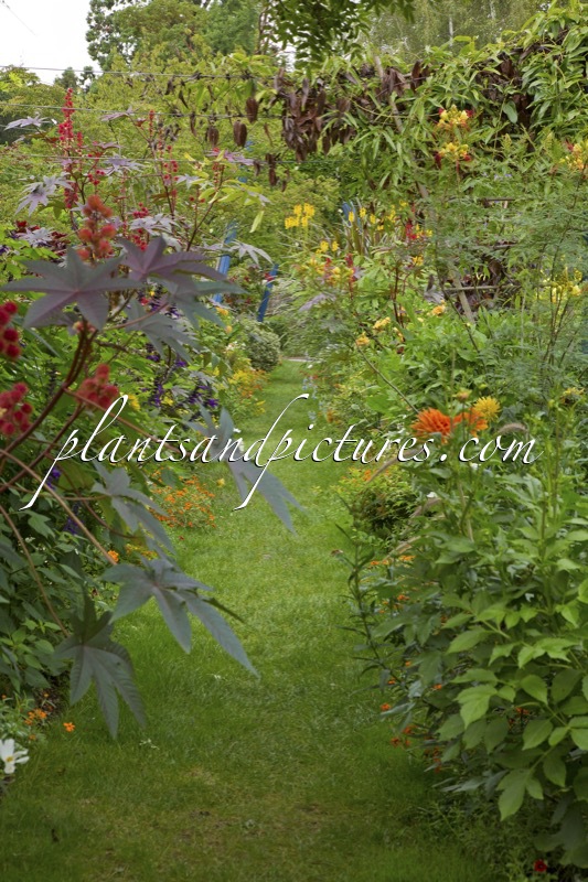 Arboretum Gaston Allard