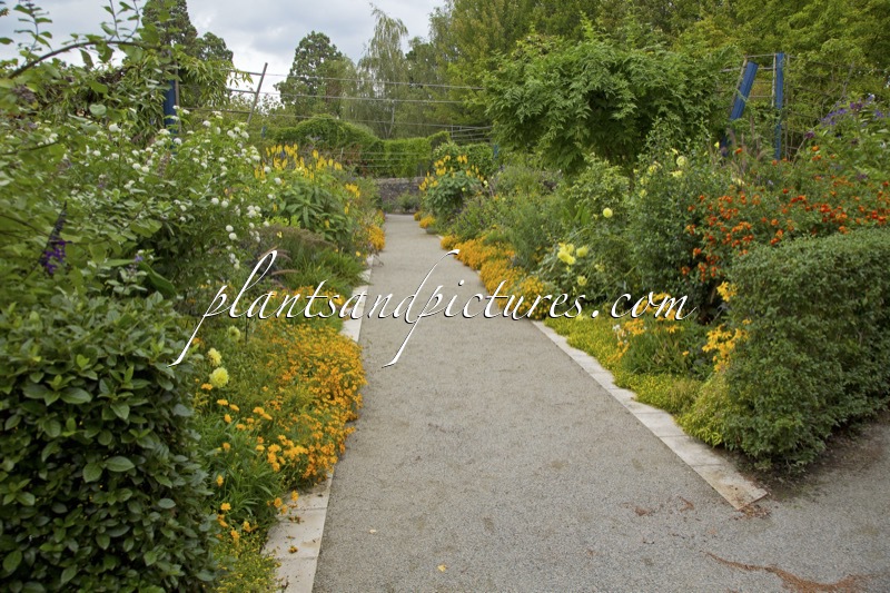 Arboretum Gaston Allard