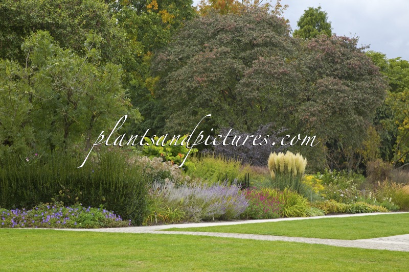 Sir Harold Hillier Gardens